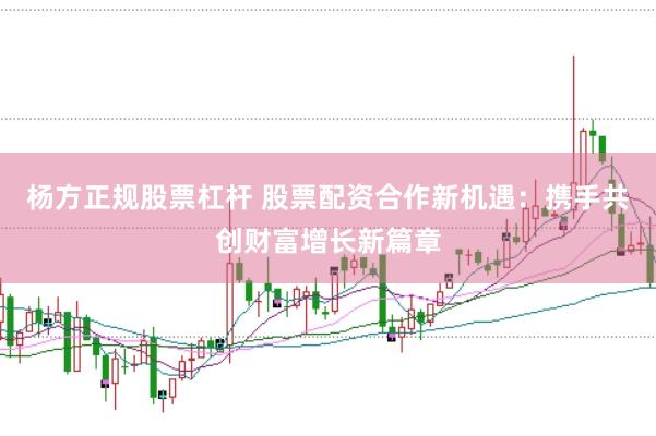 杨方正规股票杠杆 股票配资合作新机遇：携手共创财富增长新篇章