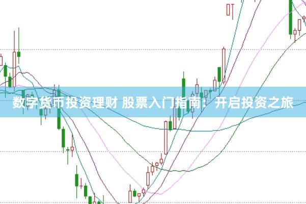 数字货币投资理财 股票入门指南：开启投资之旅