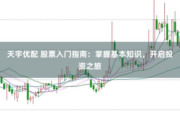 天宇优配 股票入门指南：掌握基本知识，开启投资之旅