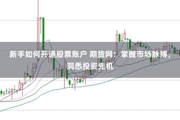 新手如何开通股票账户 期货网：掌握市场脉搏，洞悉投资先机