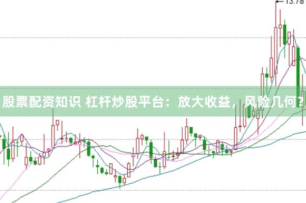 股票配资知识 杠杆炒股平台：放大收益，风险几何？