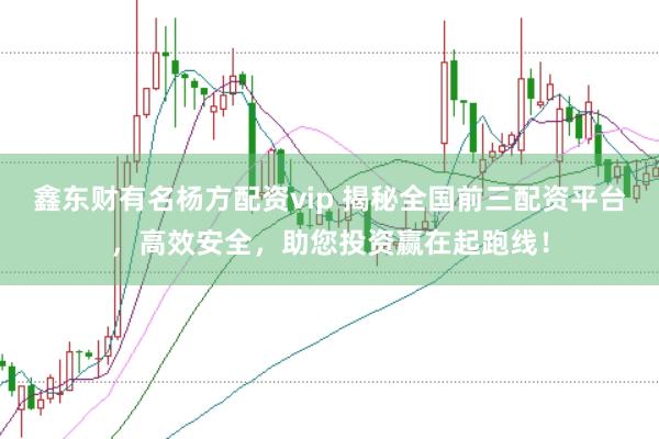 鑫东财有名杨方配资vip 揭秘全国前三配资平台，高效安全，助您投资赢在起跑线！