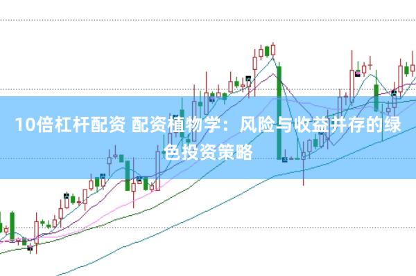 10倍杠杆配资 配资植物学：风险与收益并存的绿色投资策略