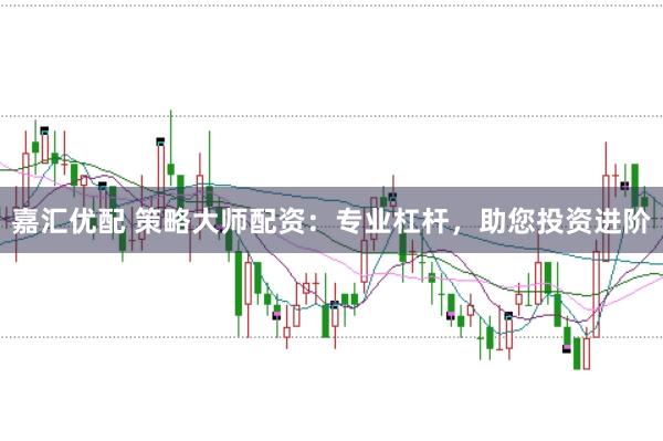 嘉汇优配 策略大师配资：专业杠杆，助您投资进阶