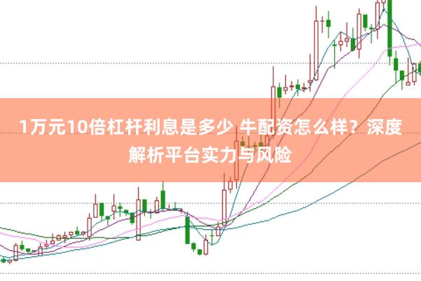 1万元10倍杠杆利息是多少 牛配资怎么样？深度解析平台实力与风险