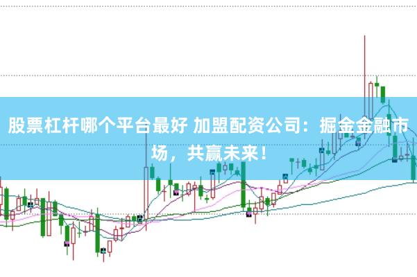 股票杠杆哪个平台最好 加盟配资公司：掘金金融市场，共赢未来！