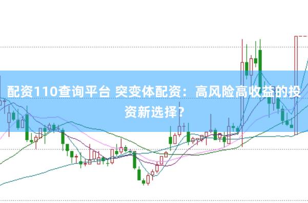 配资110查询平台 突变体配资：高风险高收益的投资新选择？