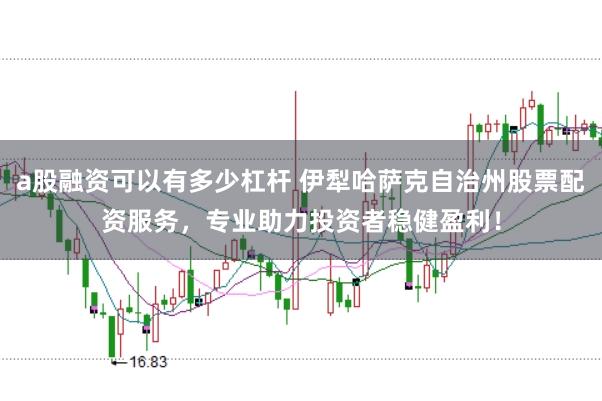 a股融资可以有多少杠杆 伊犁哈萨克自治州股票配资服务，专业助力投资者稳健盈利！