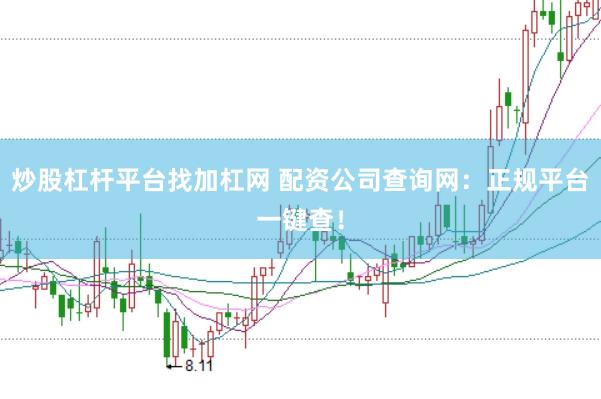 炒股杠杆平台找加杠网 配资公司查询网：正规平台一键查！