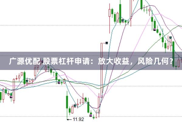 广源优配 股票杠杆申请：放大收益，风险几何？