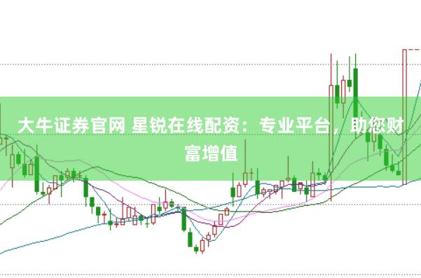 大牛证券官网 星锐在线配资：专业平台，助您财富增值