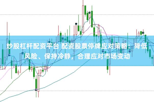 炒股杠杆配资平台 配资股票停牌应对策略：降低风险、保持冷静，合理应对市场变动