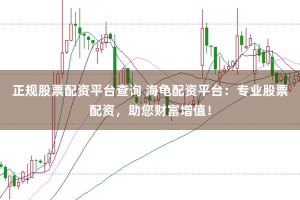 正规股票配资平台查询 海龟配资平台：专业股票配资，助您财富增值！