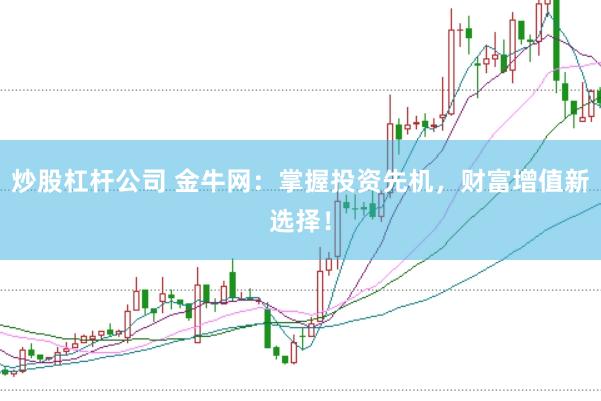 炒股杠杆公司 金牛网:掌握投资先机,财富增值新选择!