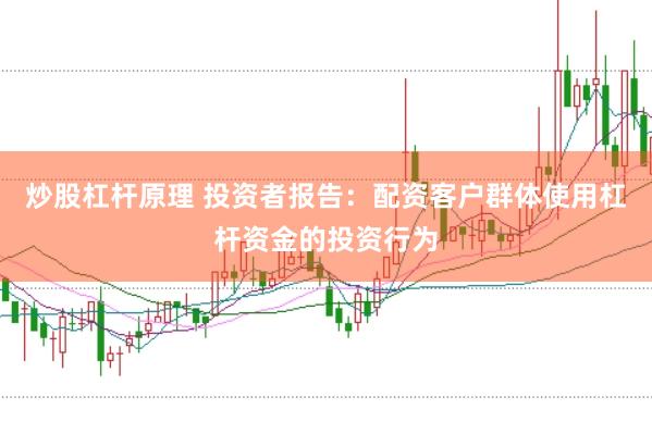 炒股杠杆原理 投资者报告:配资客户群体使用杠杆资金的投资行为